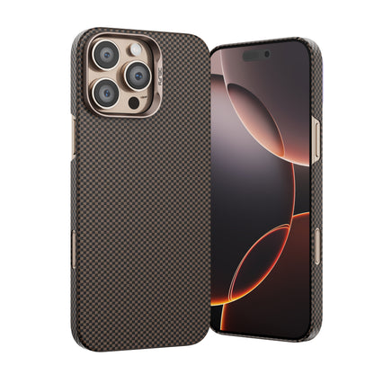 Delfy attractice case