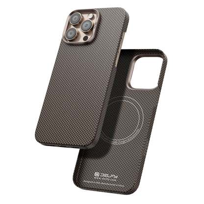 Delfy attractice case