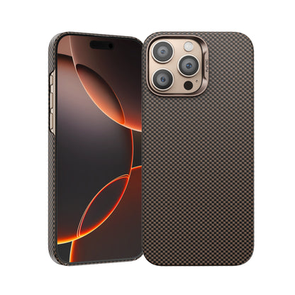 Delfy attractice case
