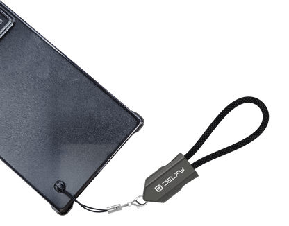 Delfy USB-C to USB-C Keychain